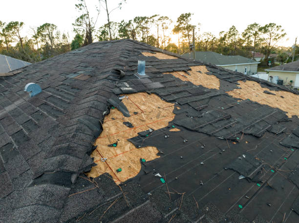Best Roof Insulation Installation  in West Loch Estate, HI