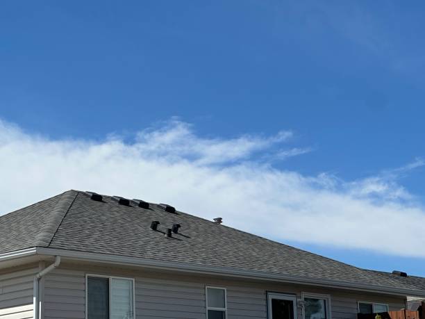 Best Chimney Flashing Repair  in West Loch Estate, HI